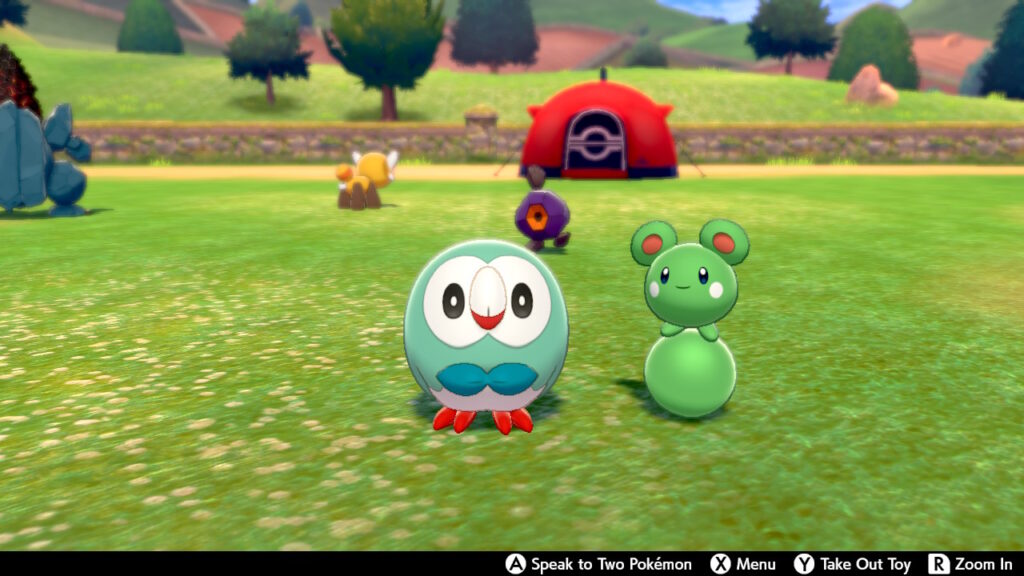 Shiny Rowelt Shiny Roggenrola Shiny Azurill Shiny Coalossal Pokémon Sword Pokémon Shield